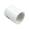 Lasco PVC Fittings